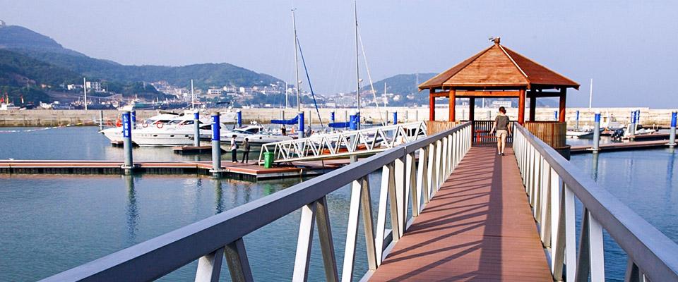 普陀网站建设
